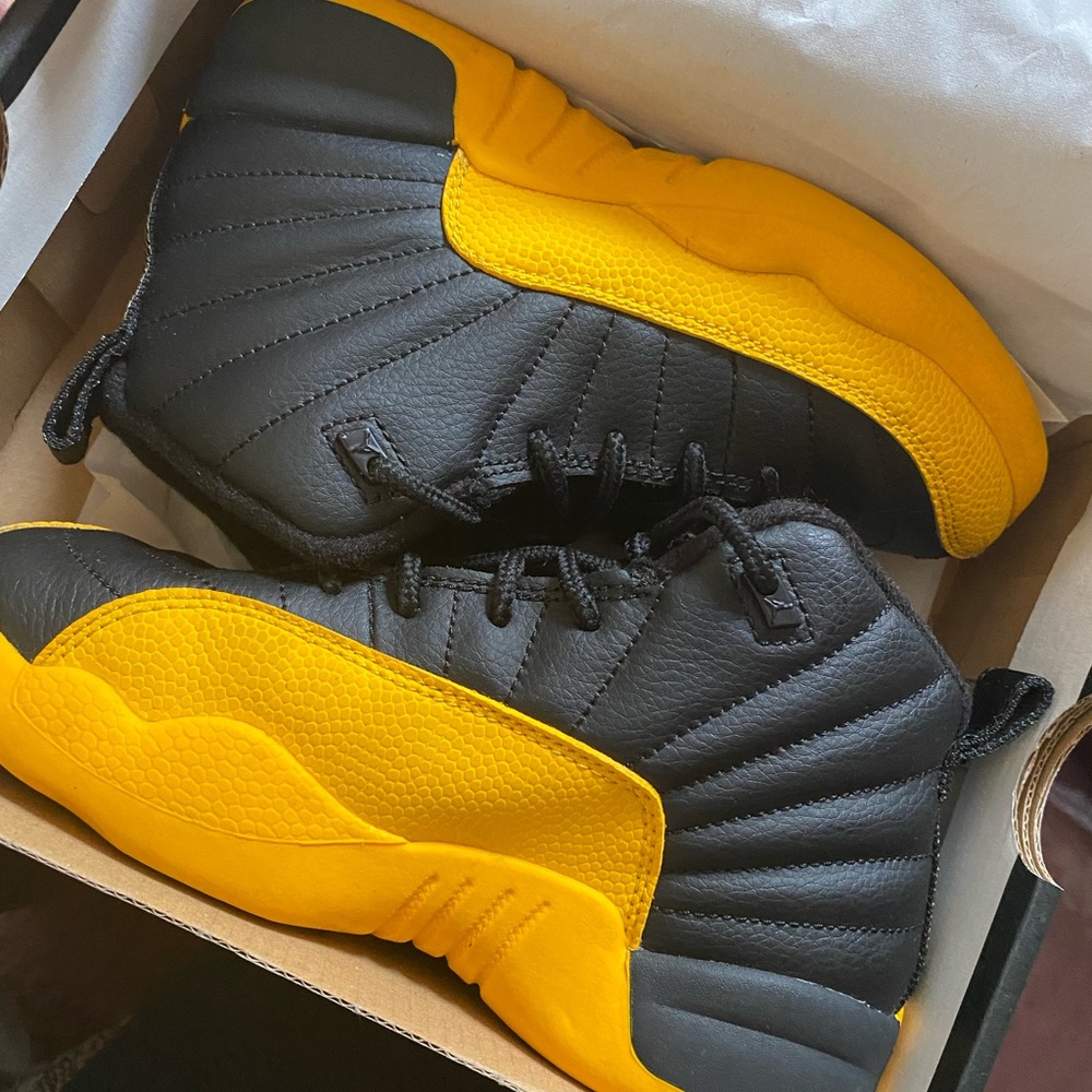 Jordan retro 12